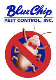 Blue Chip Pest Control, Inc.
